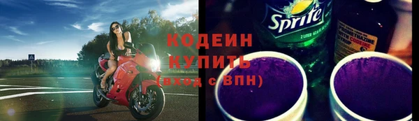 дмт Бородино