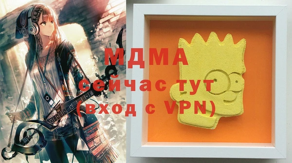 дмт Бородино