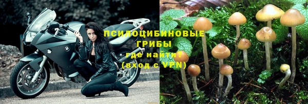 дмт Бородино