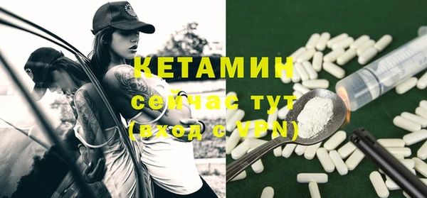 дмт Бородино