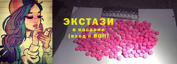 дмт Бородино