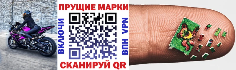 Купить закладки  Кингисепп  Наркотические марки 1,5мг 